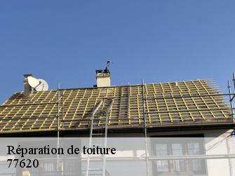 Réparation de toiture  77620