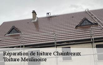 Réparation de toiture  chaintreaux-77460 Toiture Meulinoise