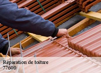 Réparation de toiture  77600