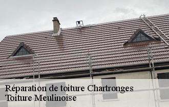 Réparation de toiture  chartronges-77320 Toiture Meulinoise