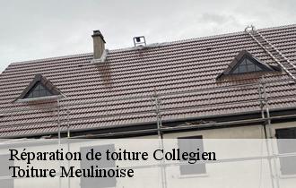 Réparation de toiture  collegien-77090 Toiture Meulinoise