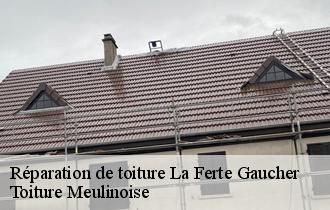 Réparation de toiture  la-ferte-gaucher-77320 Toiture Meulinoise