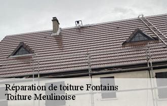 Réparation de toiture  fontains-77370 Toiture Meulinoise