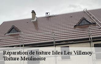 Réparation de toiture  isles-les-villenoy-77450 Toiture Meulinoise