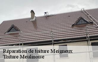 Réparation de toiture  meigneux-77520 Toiture Meulinoise