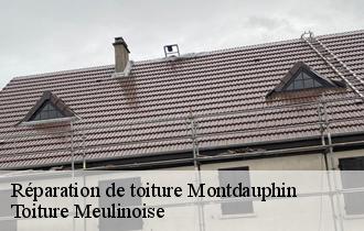 Réparation de toiture  montdauphin-77320 Toiture Meulinoise