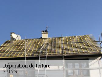 Réparation de toiture  77173