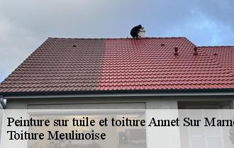 Peinture sur tuile et toiture  annet-sur-marne-77410 Toiture Meulinoise