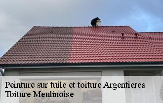 Peinture sur tuile et toiture  argentieres-77390 Toiture Meulinoise