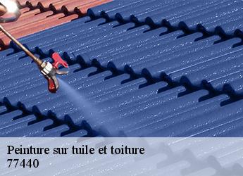 Peinture sur tuile et toiture  77440