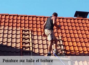 Peinture sur tuile et toiture  77440