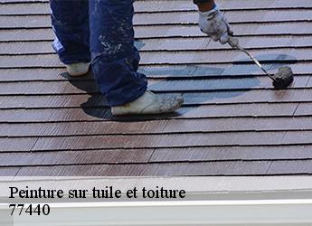 Peinture sur tuile et toiture  77440