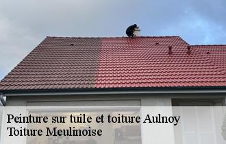 Peinture sur tuile et toiture  aulnoy-77120 Toiture Meulinoise