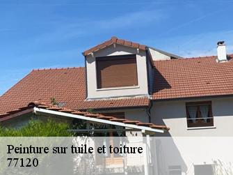 Peinture sur tuile et toiture  77120