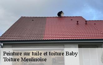 Peinture sur tuile et toiture  baby-77480 Toiture Meulinoise