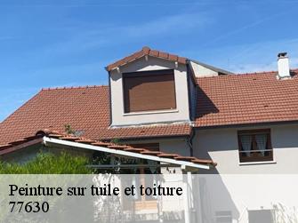 Peinture sur tuile et toiture  77630