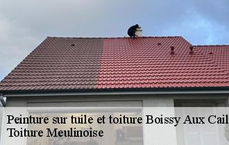 Peinture sur tuile et toiture  boissy-aux-cailles-77760 Toiture Meulinoise