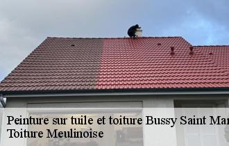 Peinture sur tuile et toiture  bussy-saint-martin-77600 Toiture Meulinoise