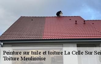 Peinture sur tuile et toiture  la-celle-sur-seine-77670 Toiture Meulinoise