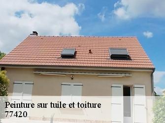 Peinture sur tuile et toiture