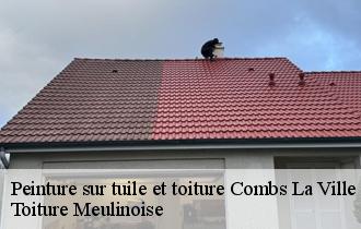 Peinture sur tuile et toiture  combs-la-ville-77380 Toiture Meulinoise