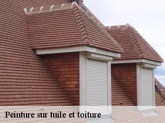 Peinture sur tuile et toiture