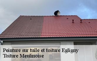 Peinture sur tuile et toiture  egligny-77126 Toiture Meulinoise