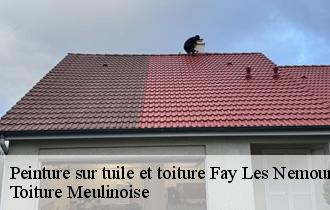 Peinture sur tuile et toiture  fay-les-nemours-77167 Toiture Meulinoise