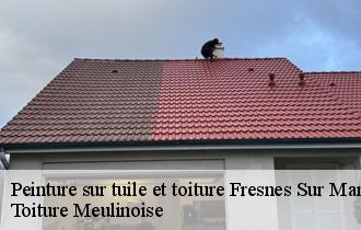 Peinture sur tuile et toiture  fresnes-sur-marne-77410 Toiture Meulinoise