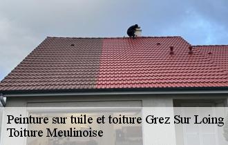 Peinture sur tuile et toiture  grez-sur-loing-77880 Toiture Meulinoise