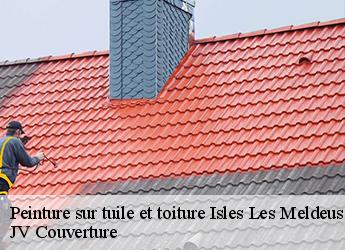 Peinture sur tuile et toiture isles-les-meldeuses-77440 JV Couverture
