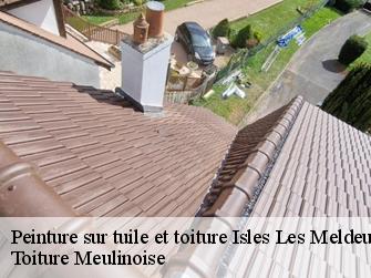 Peinture sur tuile et toiture  77440