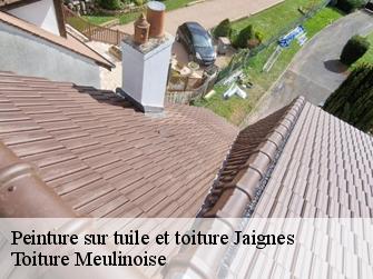 Peinture sur tuile et toiture  77440