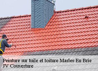 Peinture sur tuile et toiture marles-en-brie-77610 JV Couverture