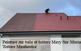 Peinture sur tuile et toiture  mery-sur-marne-77730 Toiture Meulinoise