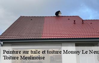 Peinture sur tuile et toiture  moussy-le-neuf-77230 Toiture Meulinoise