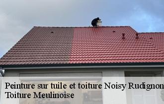 Peinture sur tuile et toiture  noisy-rudignon-77940 Toiture Meulinoise