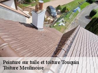 Peinture sur tuile et toiture  77131