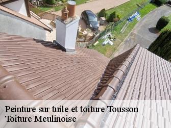 Peinture sur tuile et toiture  77123