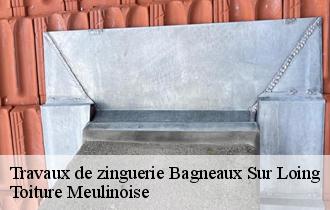 Travaux de zinguerie  bagneaux-sur-loing-77167 Toiture Meulinoise