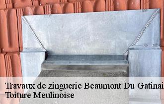 Travaux de zinguerie  beaumont-du-gatinais-77890 Toiture Meulinoise