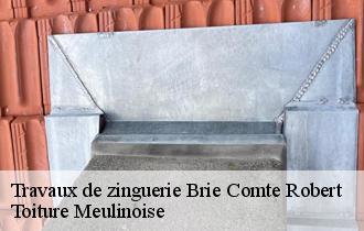 Travaux de zinguerie  brie-comte-robert-77170 Toiture Meulinoise