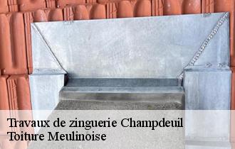 Travaux de zinguerie  champdeuil-77390 Toiture Meulinoise