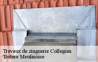 Travaux de zinguerie  collegien-77090 Toiture Meulinoise