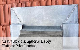 Travaux de zinguerie  esbly-77450 Toiture Meulinoise