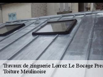 Travaux de zinguerie