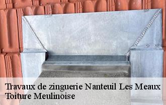 Travaux de zinguerie  nanteuil-les-meaux-77100 Toiture Meulinoise