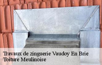 Travaux de zinguerie  vaudoy-en-brie-77141 Toiture Meulinoise