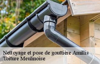 Nettoyage et pose de gouttière  amillis-77120 Toiture Meulinoise