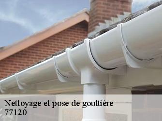 Nettoyage et pose de gouttière  77120